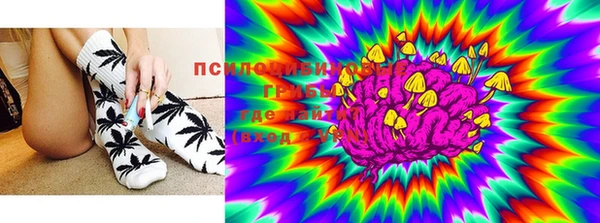 шишки Абинск