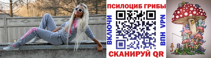 Псилоцибиновые грибы Psilocybe  Нягань 