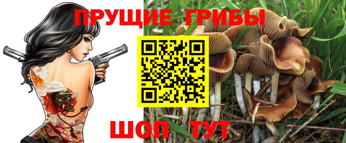 Галлюциногенные грибы Psilocybe  Вход с VPN  Нягань 